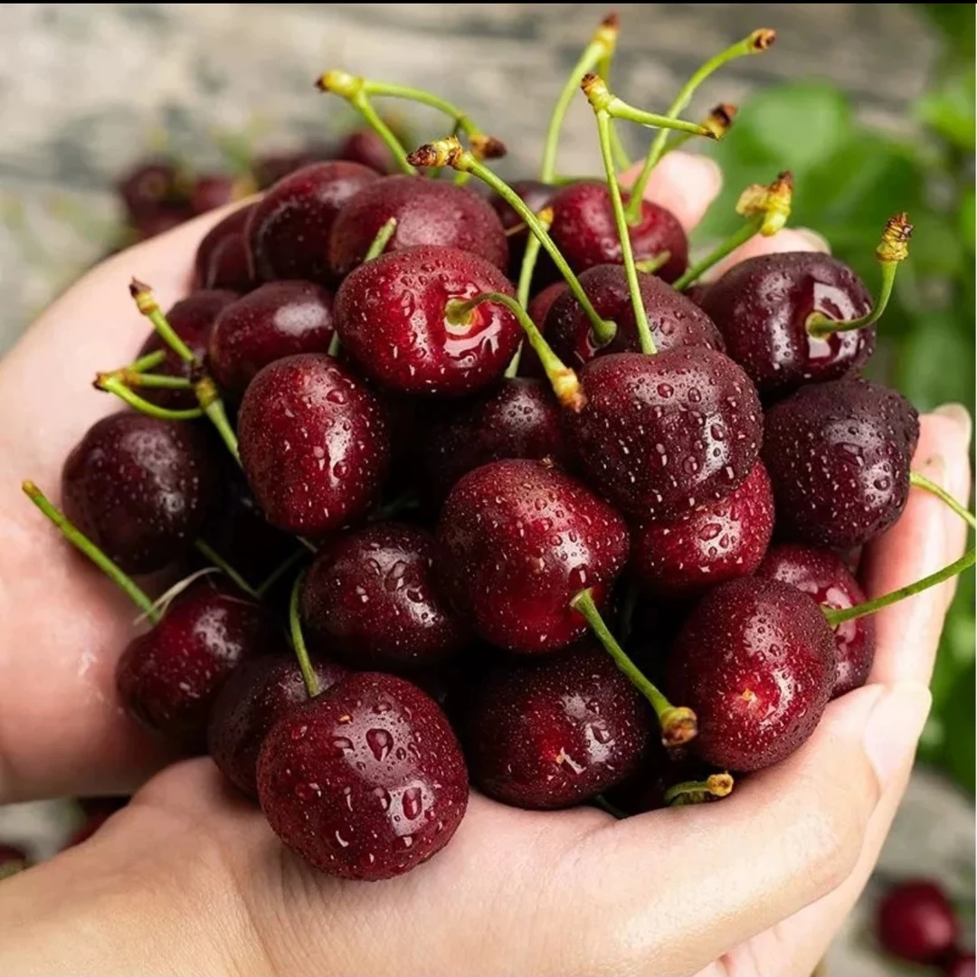 【点赞必抢】9.9福利车厘子一斤XLD