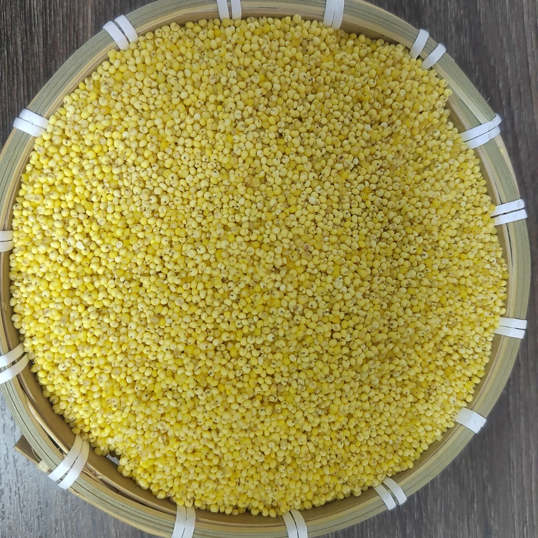 农家大黄米3-5斤