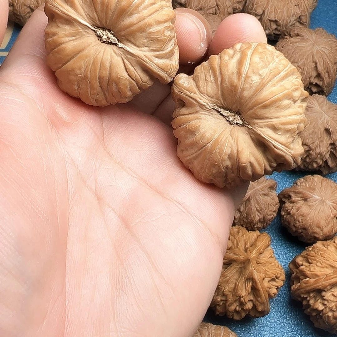 初***仙吊坠文玩核桃44南瓜墩凹底全品