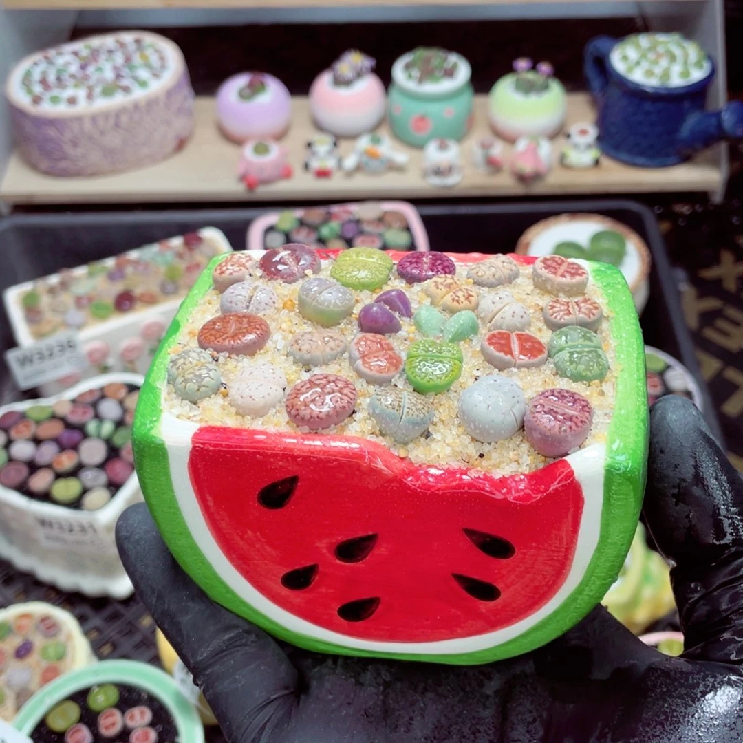 夜间零下地区拍保温箱w3240