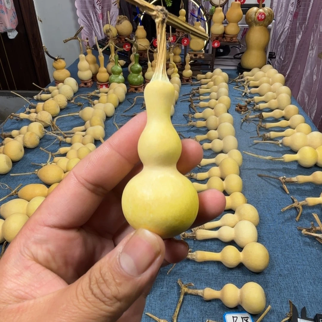 骤***。葫芦葫芦葫芦葫芦