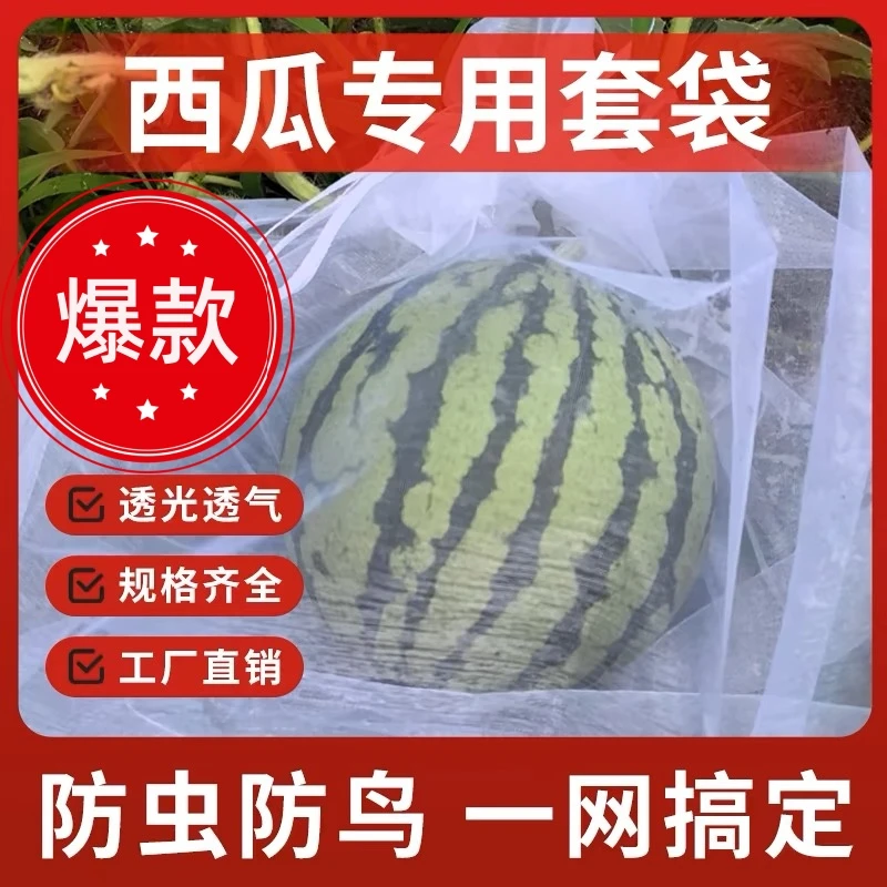 水果套袋防鸟袋防虫果树无花果葡萄桃子草莓保护袋果蝇束口袋西瓜