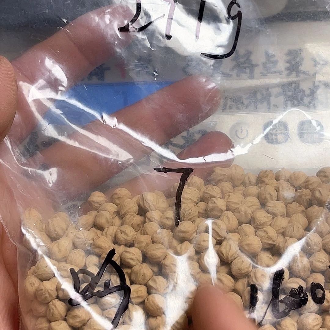 柏香籽/百香籽吊坠吟**?