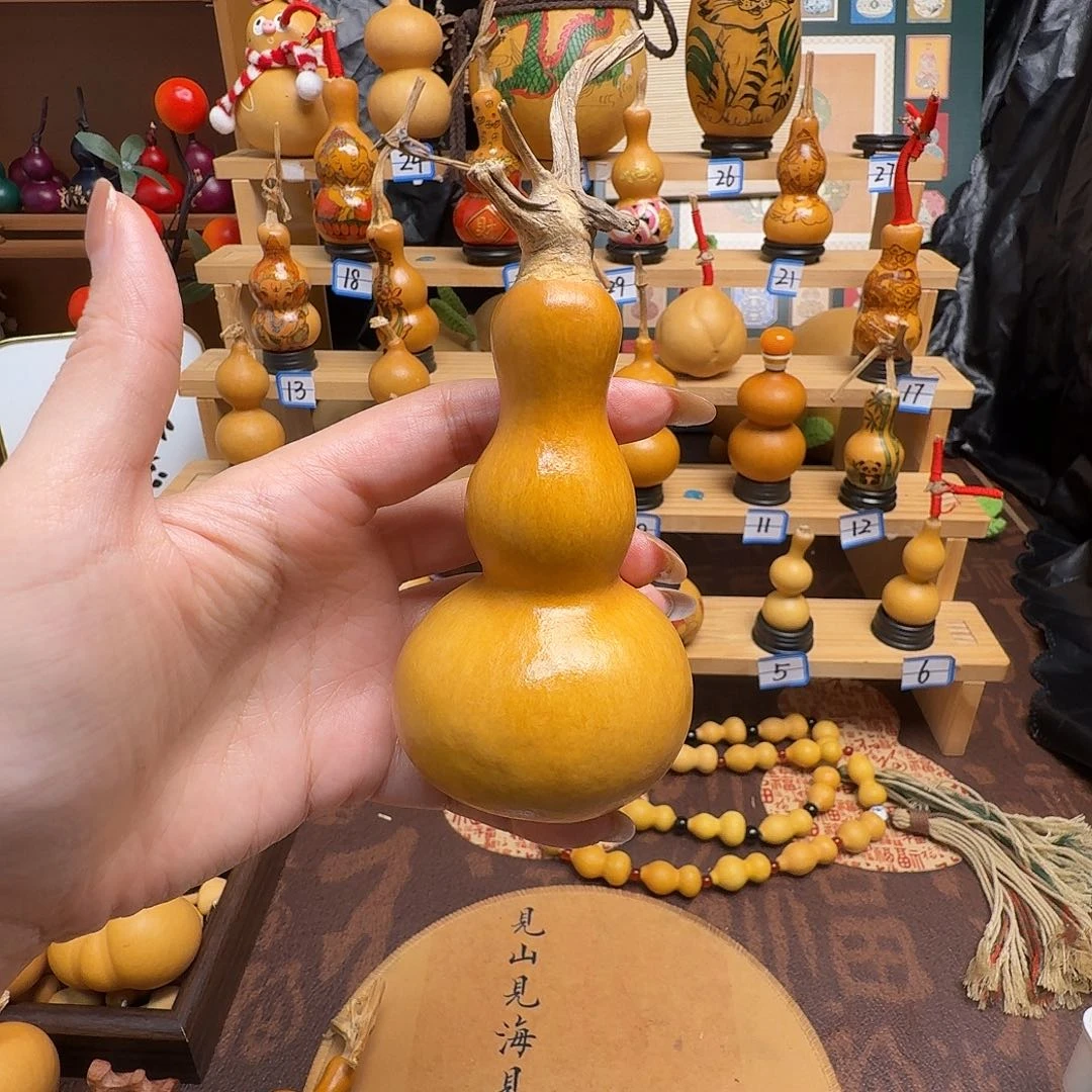 星***࿐木粗嘴八宝老皮80808080