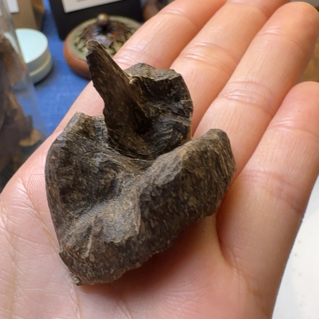 树脂制品香港包头一块5.4