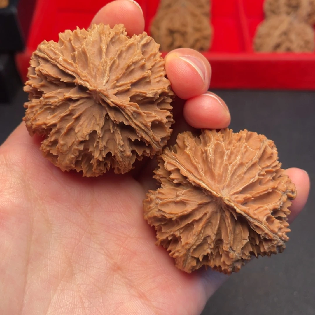 文玩核桃吊坠秦岭野生文玩核桃