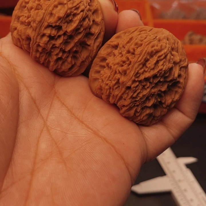 核桃南疆40尺核桃
