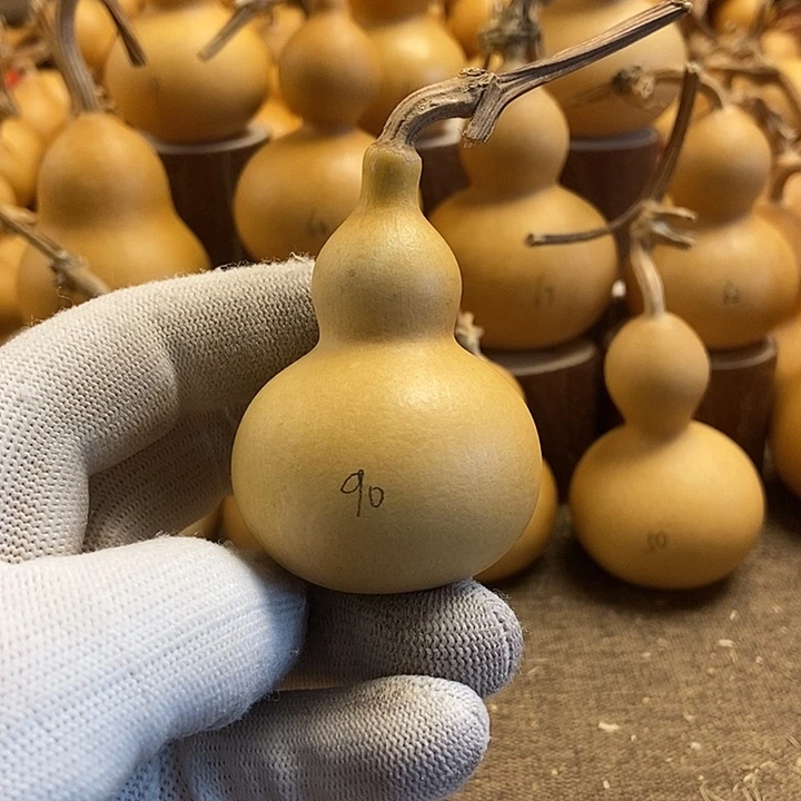 文玩葫芦 完美主义者 慎拍90