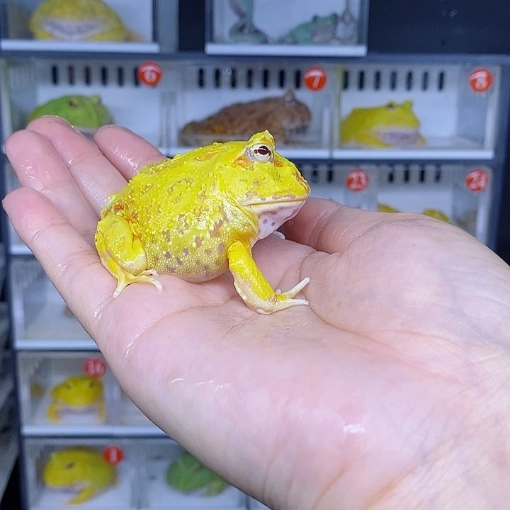 特价秒杀特价原价残