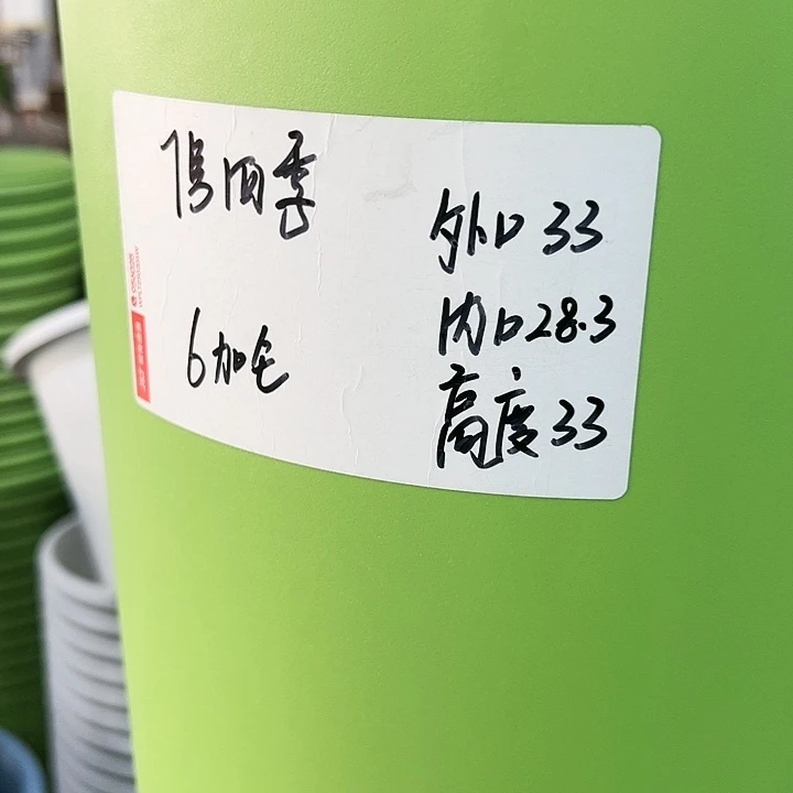 特价7号四季口33高33果绿无托4个