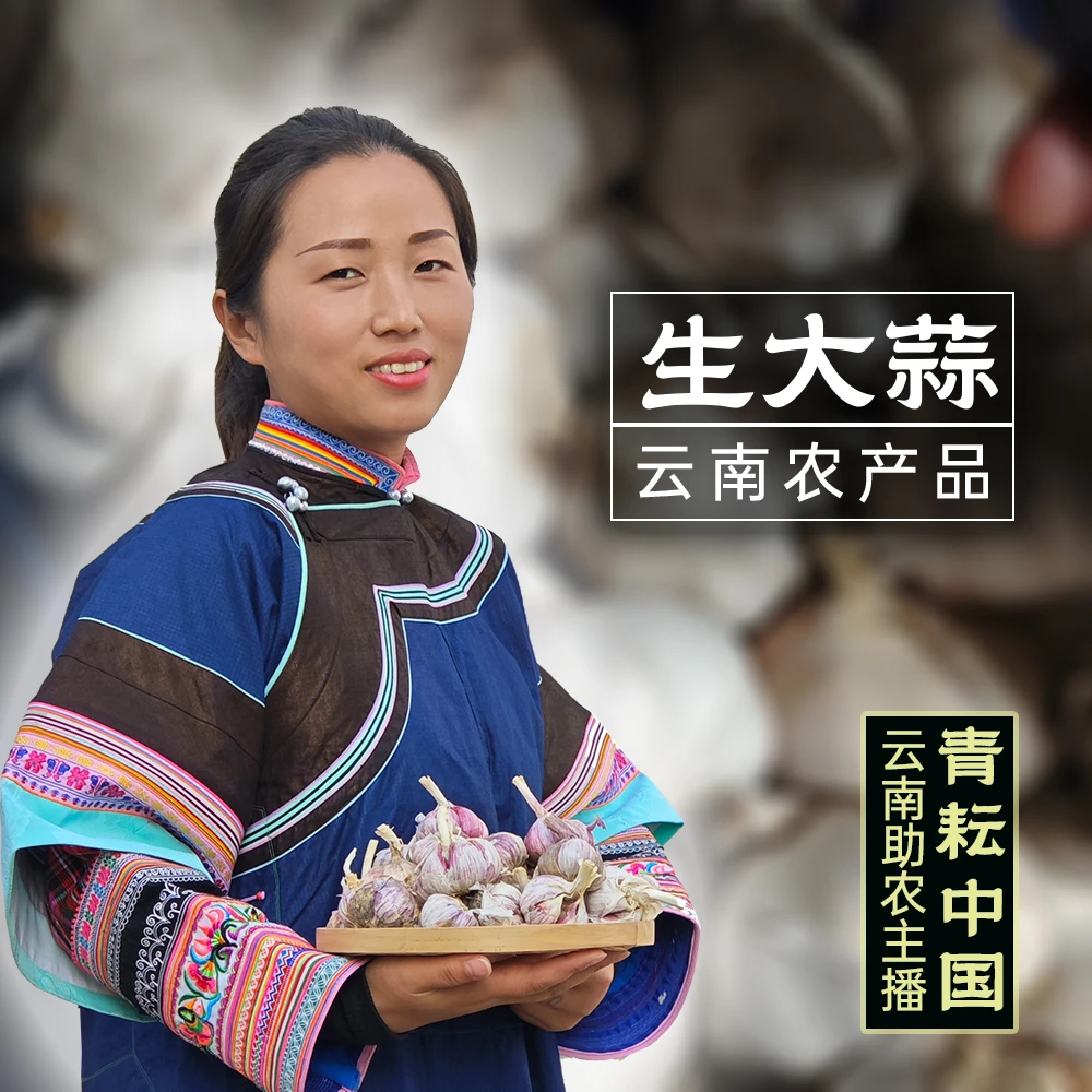 云南大理紫皮大蒜皮薄易剥蒜香浓郁调味提鲜助农品500克【生大蒜】