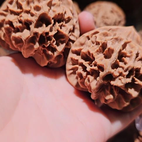 吊坠文玩核桃52帝王狮子