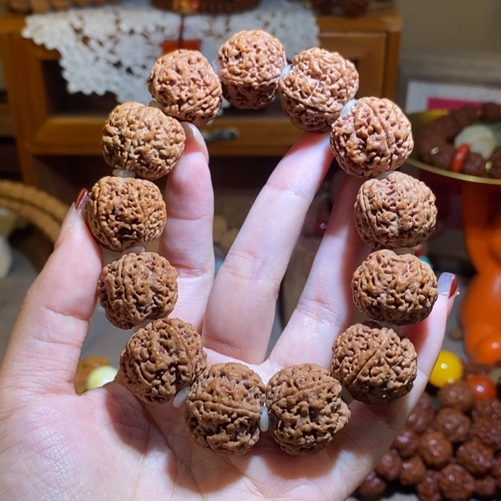 手串金刚菩提225原籽树王满肉一物