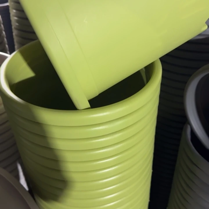 四季5号5个果绿色的