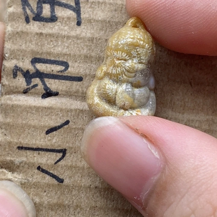 颈饰未镶嵌硅化珊瑚（珊瑚玉）博*
