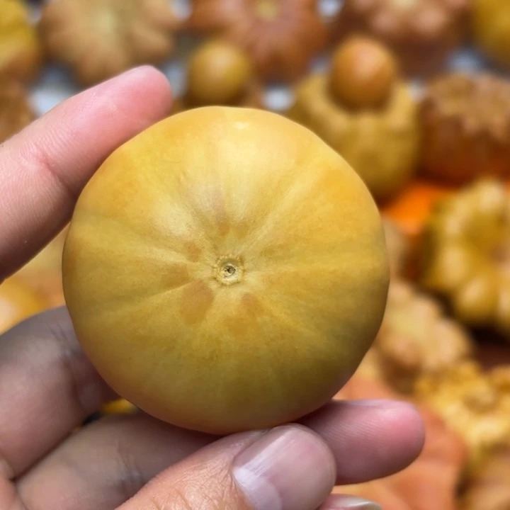 特价福利不退不换