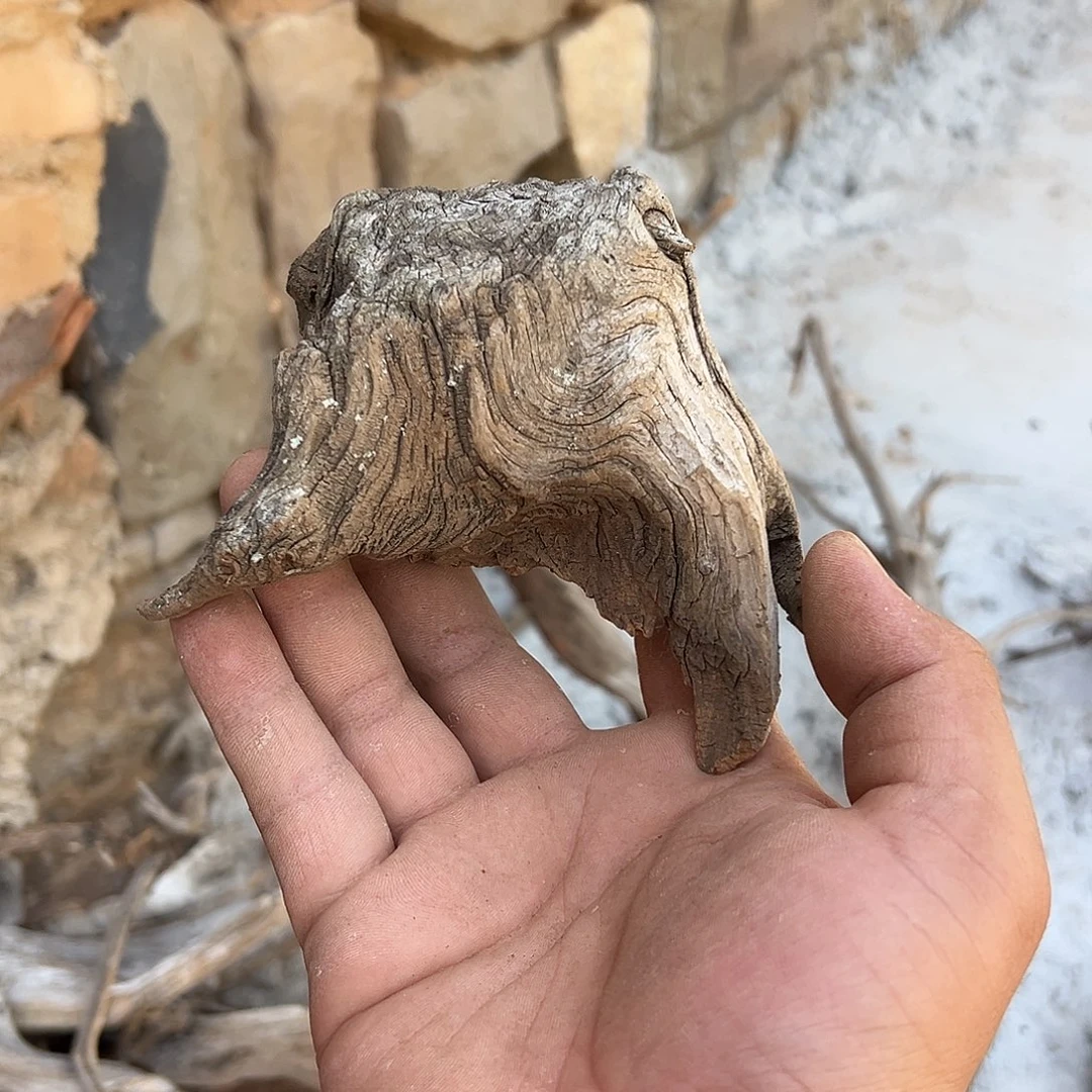 观****柏木（崖柏）文玩根雕