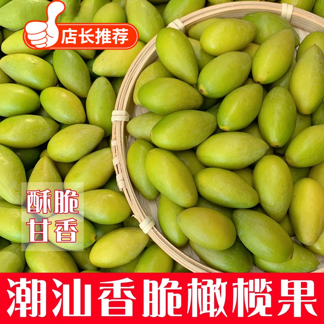 潮汕香脆橄榄果檀香青黄橄榄 二号橄榄新鲜采摘酥脆甘香无渣橄榄