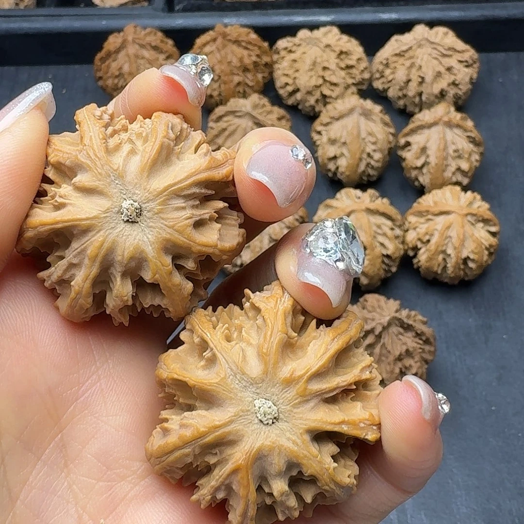 拥***乐桃木突突突突突突突