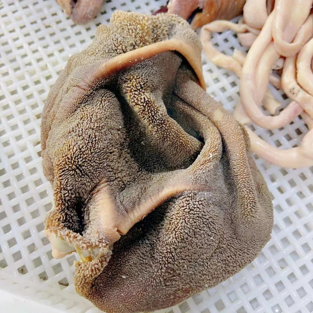 清真 熟羊毛肚 原色原味无添加 咸的 真空速冻发货