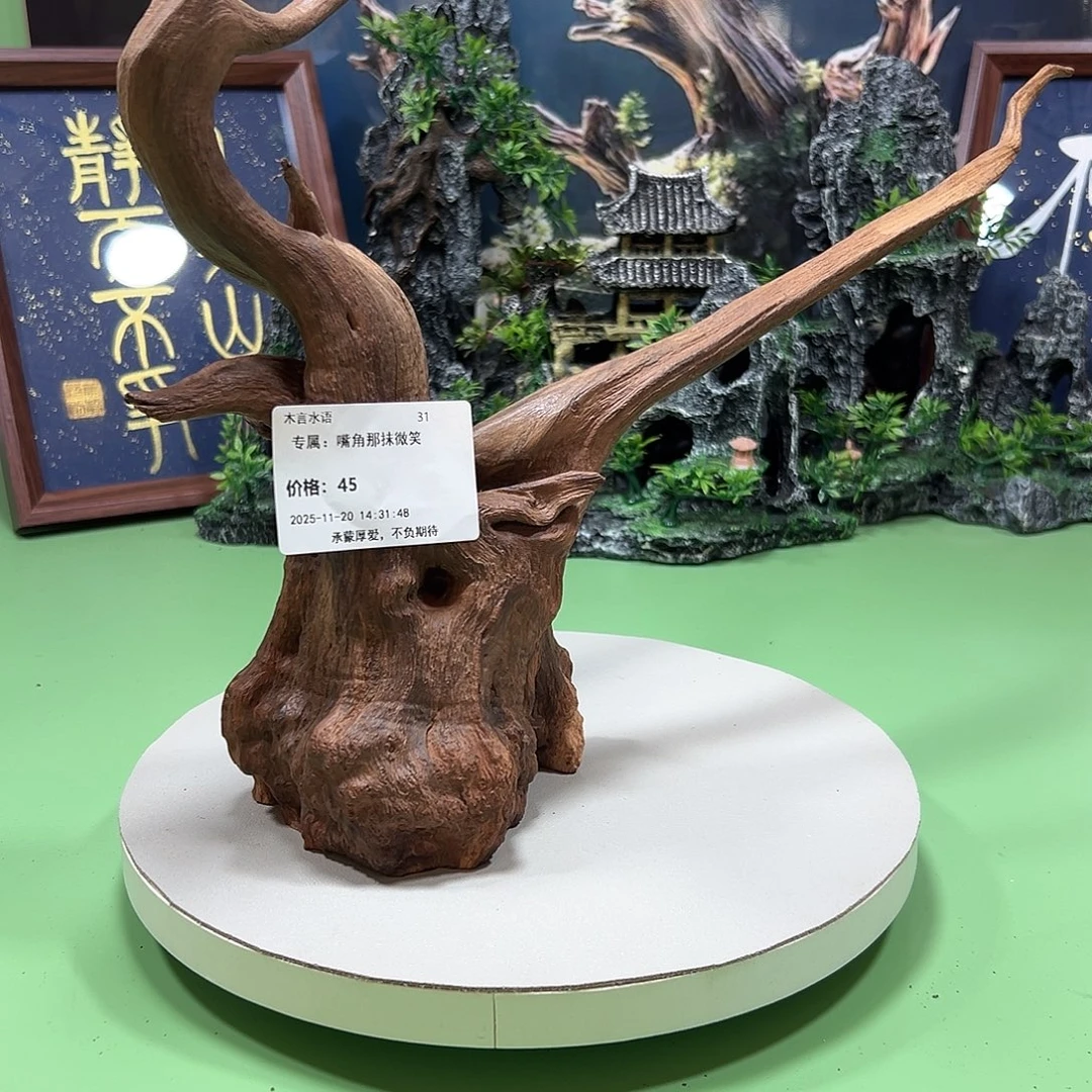 嘴***笑大果紫檀（缅甸花梨）