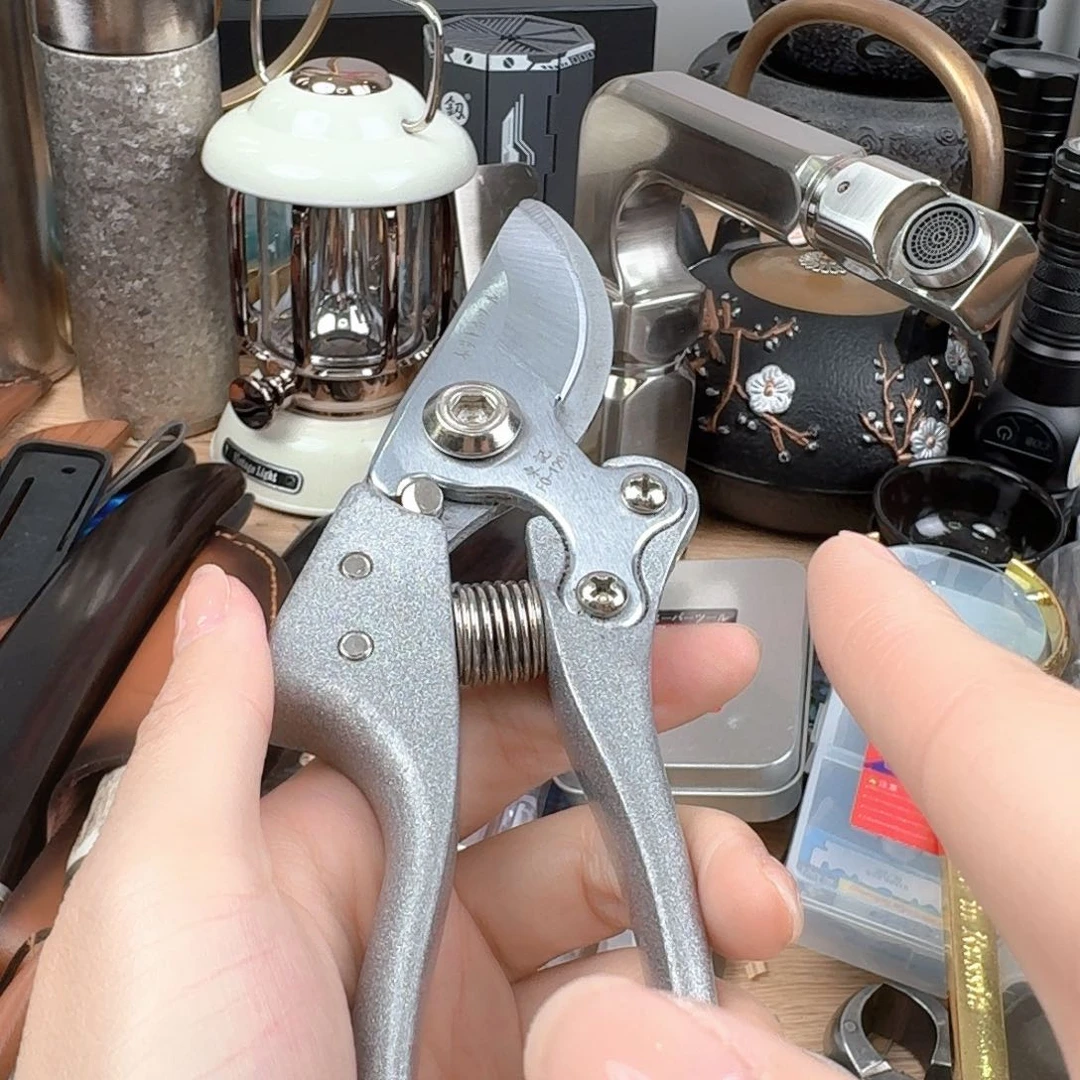 现代外贸小公主～