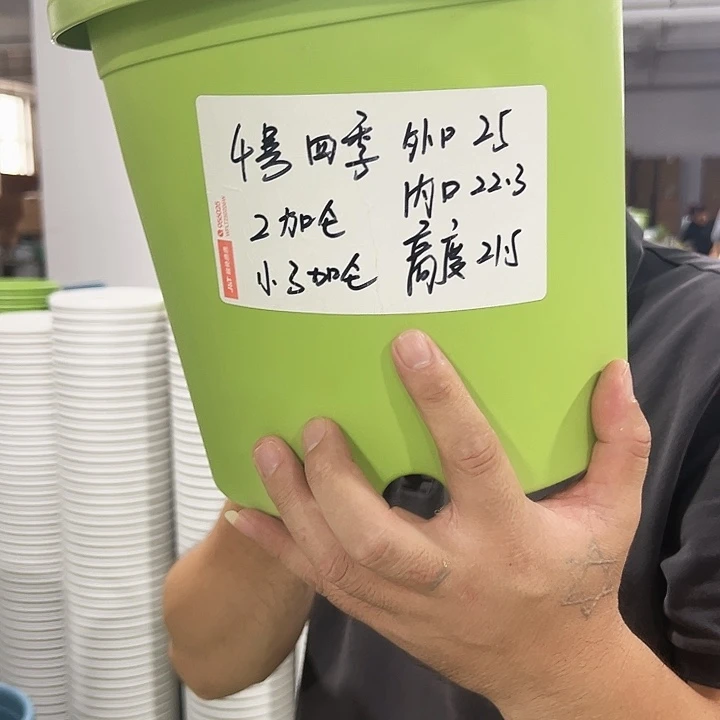 特价4号四季口25高21混色8个无托