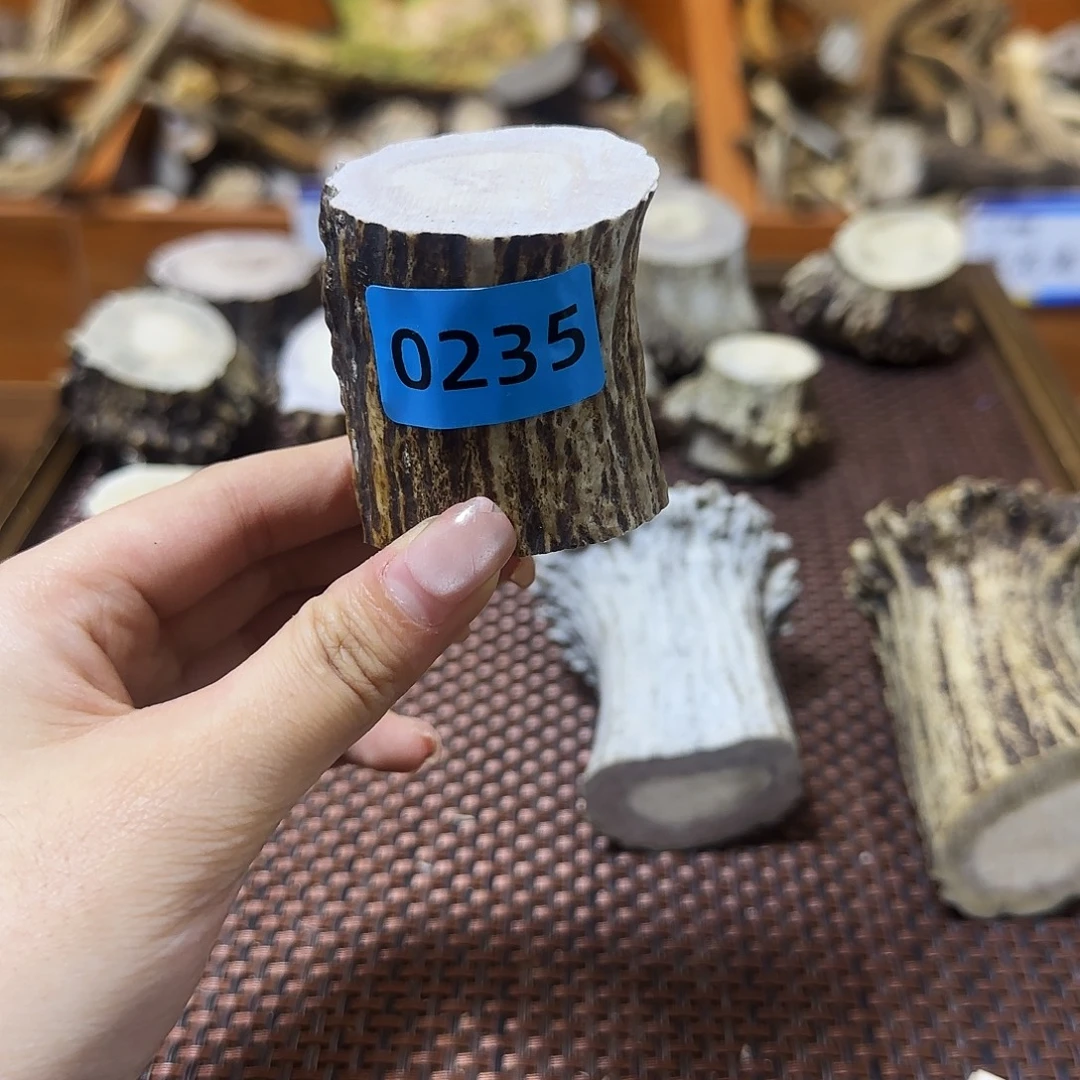 手串/手链鹿骨中段0235