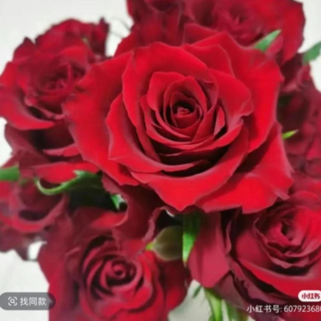 高原红（一单包邮)云南基地直发品质保证