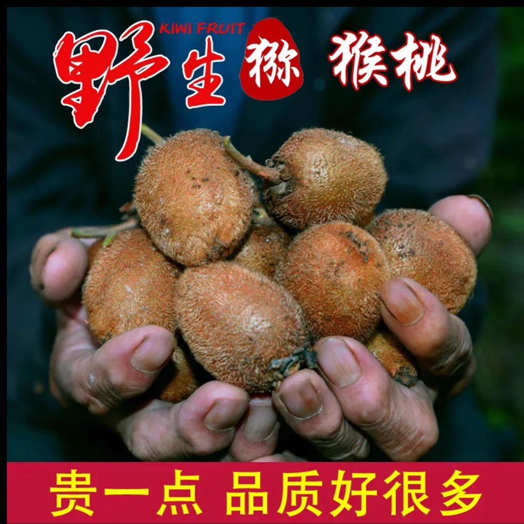 贵州纯野生绿心猕猴桃新鲜现摘酸甜可口孕妇水果