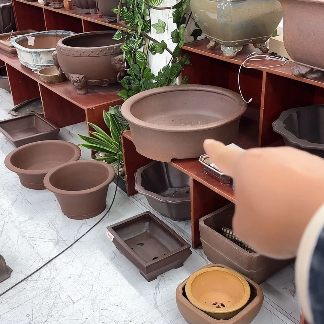 紫砂花盆喔*紫砂的颜色很好看