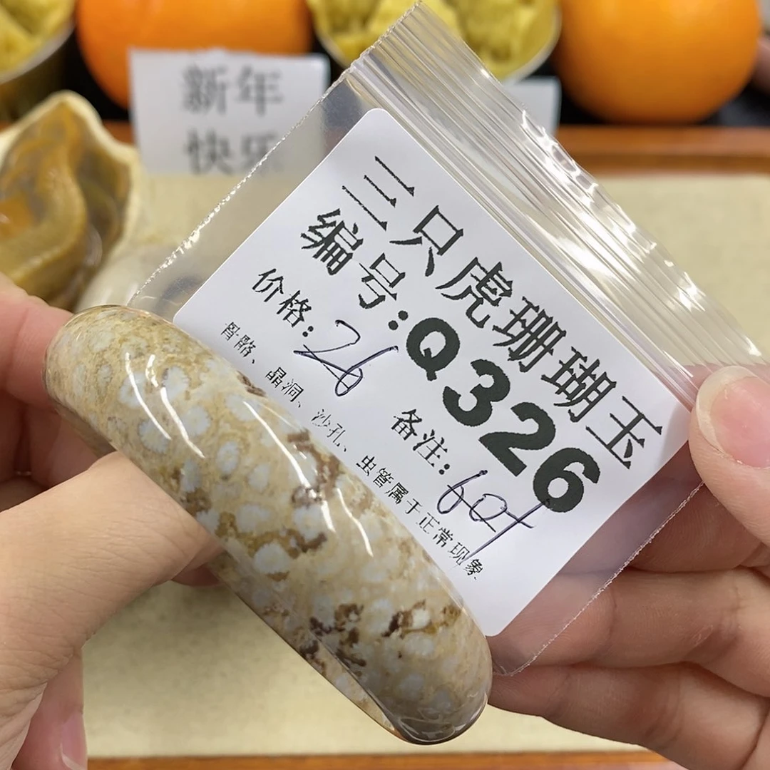 硅化珊瑚（珊瑚玉）1未镶嵌玖*