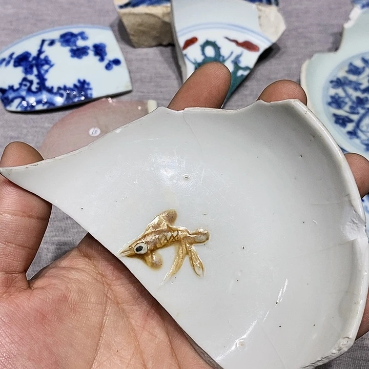 金老*子铜精品瓷片标本