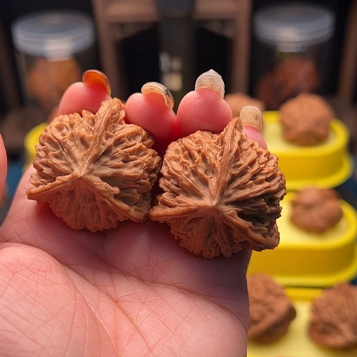 文玩核桃吊坠潘龙纹三棱 全品
