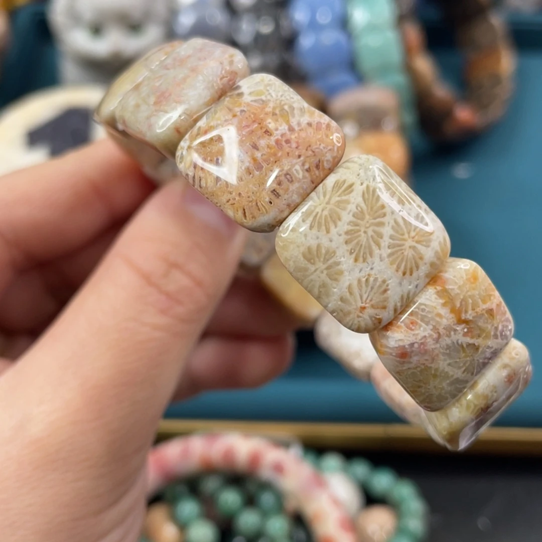 未镶嵌手镯硅化玉