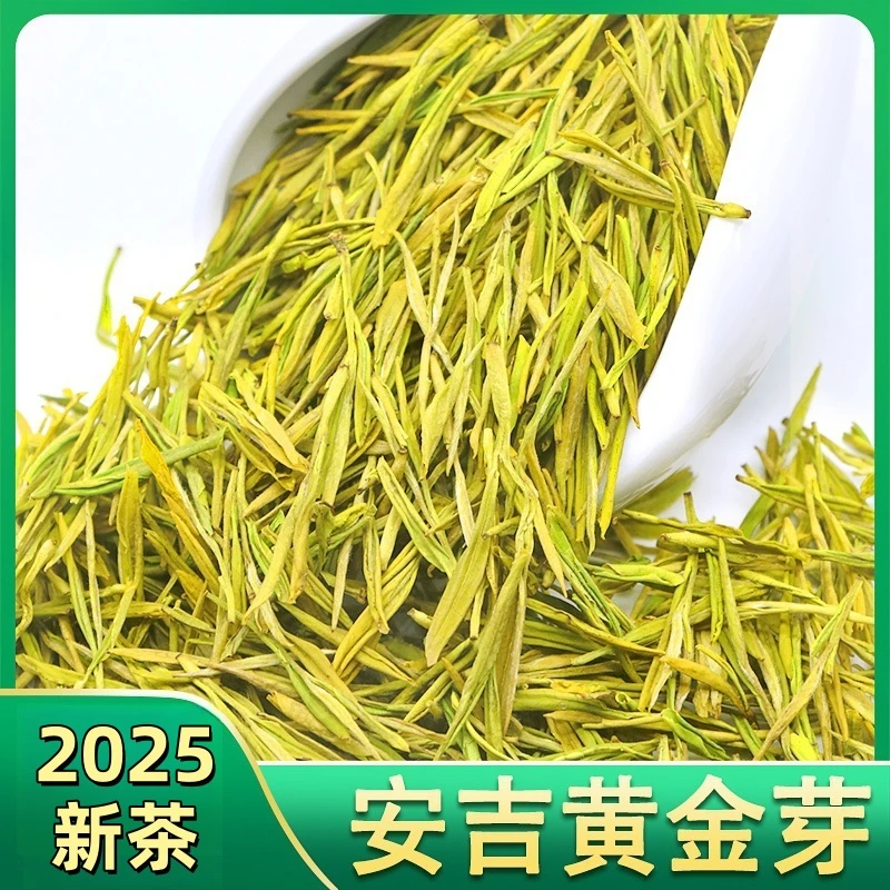 正宗安吉黄金芽茶叶2025新茶绿茶安吉白茶特级浓香送礼官方正品