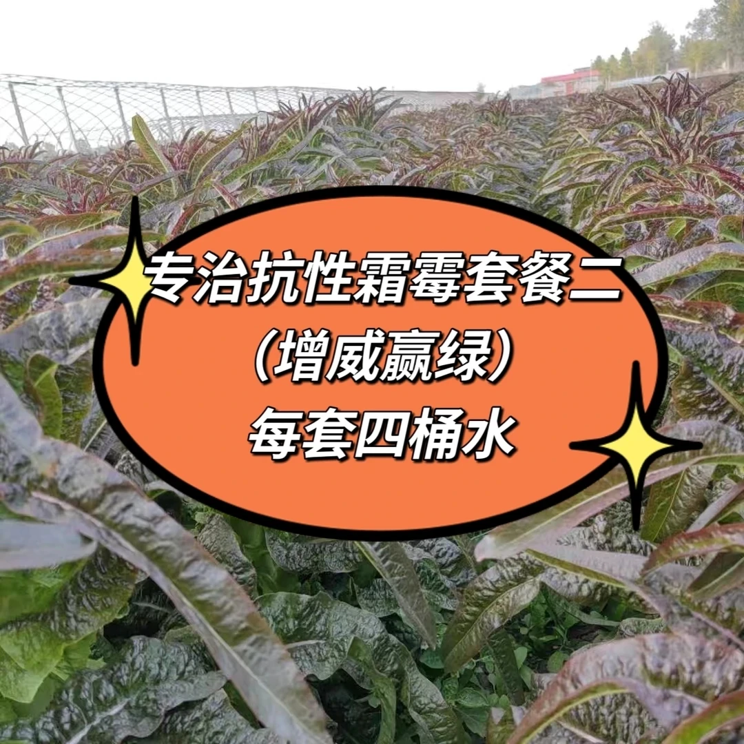 抗性霜霉套餐二(增威赢绿)