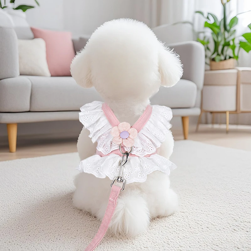 小狗狗牵引绳幼犬专用小泰迪遛狗绳网红胸背带外出夏季背心式狗绳