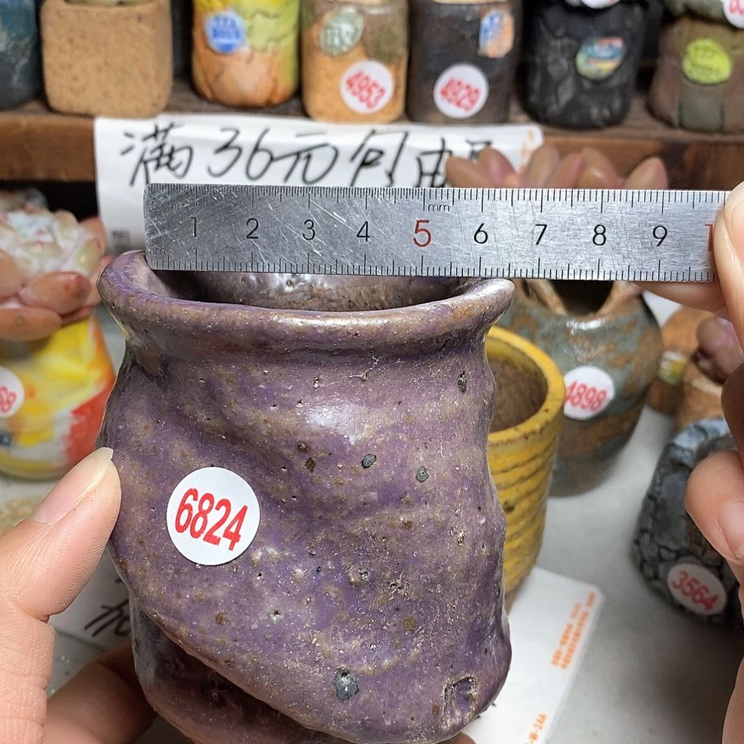 红陶拍5送一个小