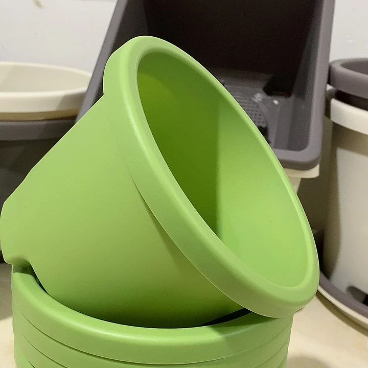 球根口17果绿5个无托