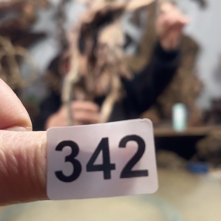 风车木（黑檀木）月*我是否可以去