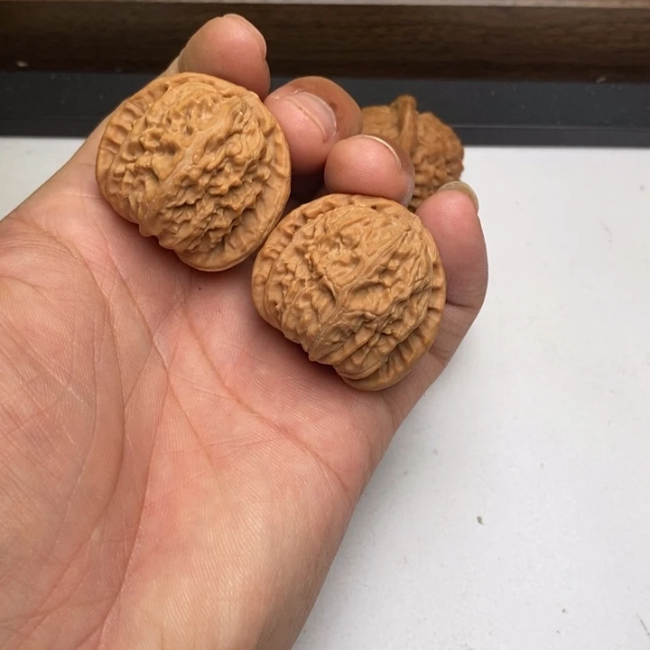 爱***甜三角白狮子头37尺寸