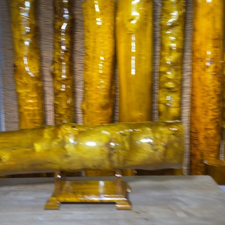 金丝楠湄****宿四川雅安小叶桢楠金丝楠