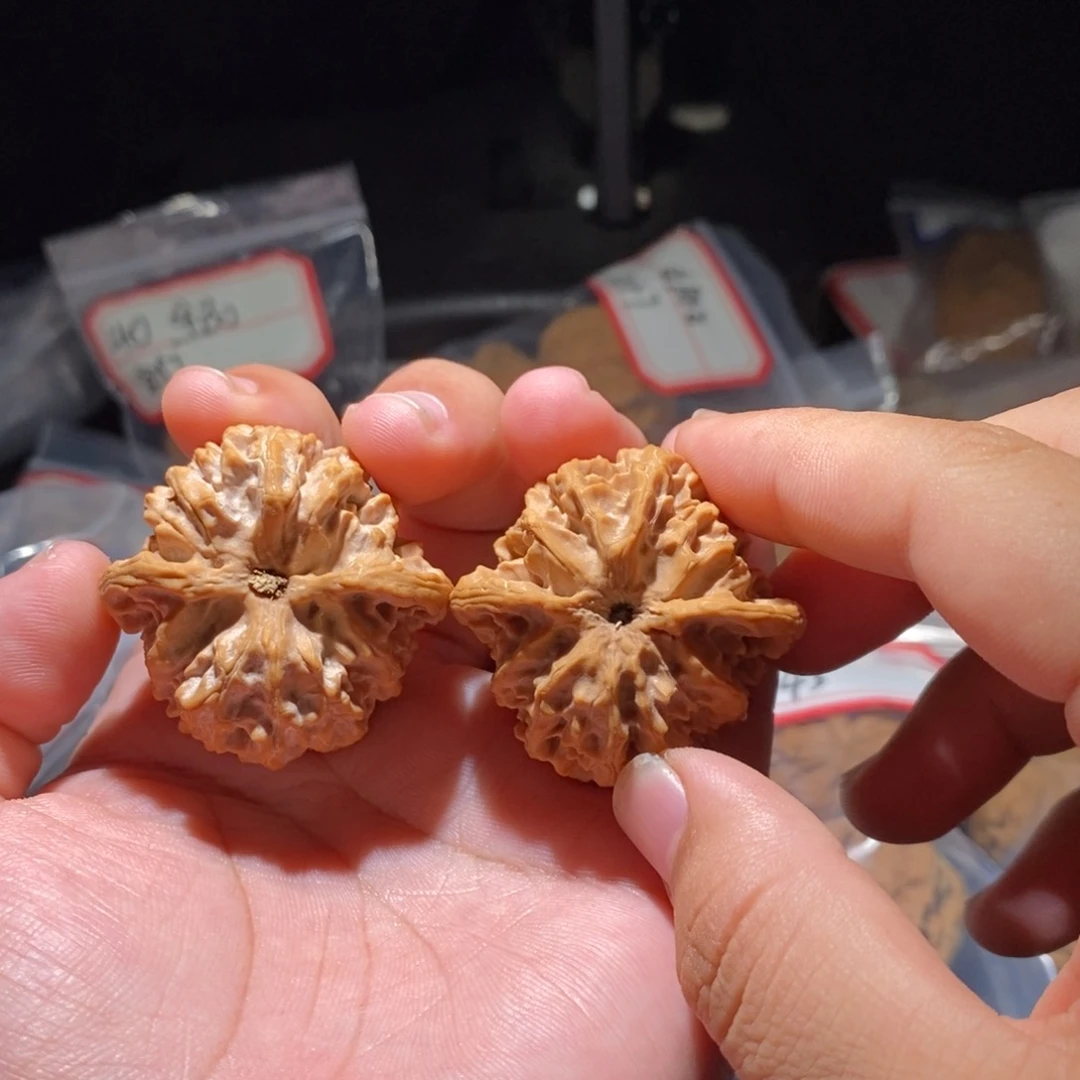 楊***杨文玩核桃吊坠41全品苹果