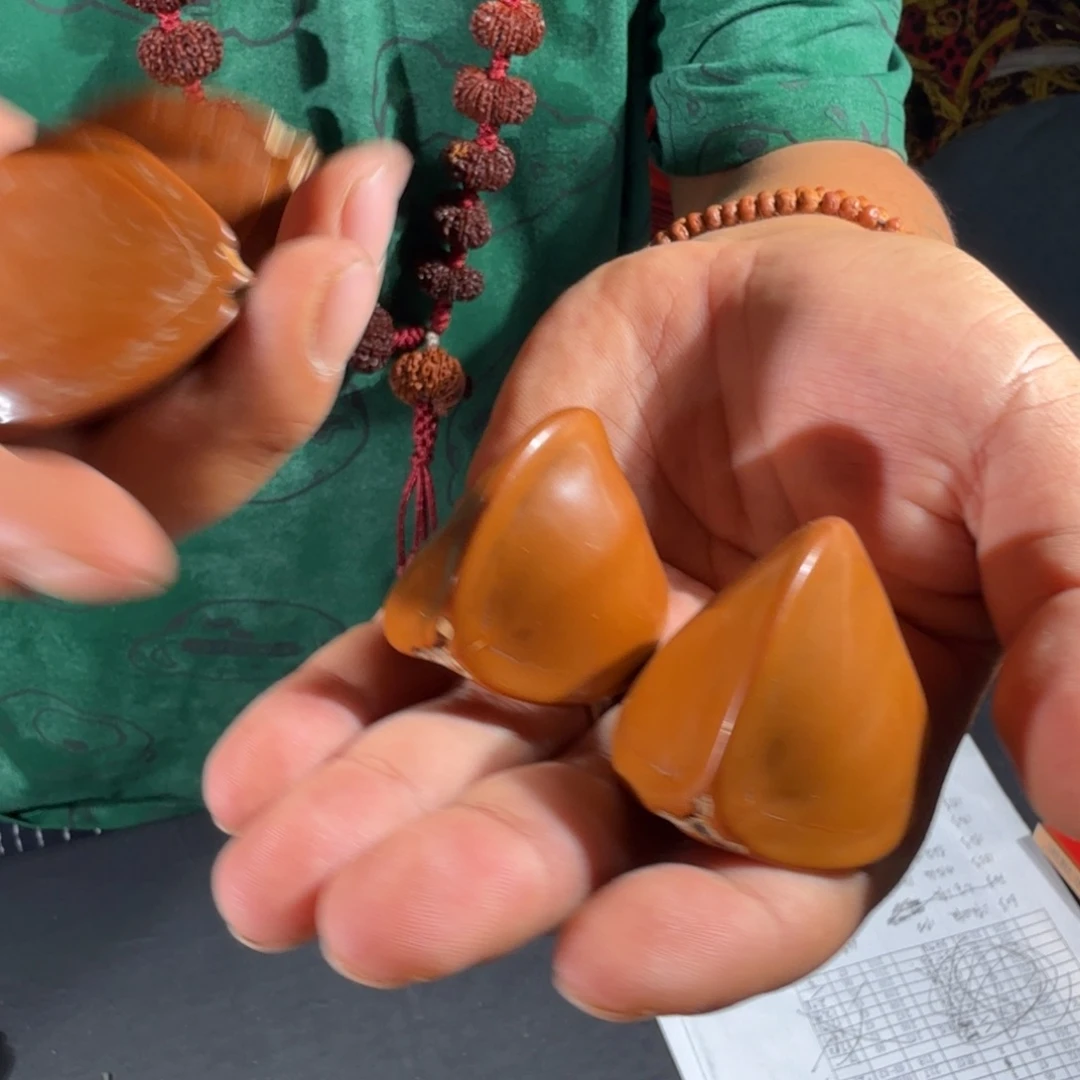 文玩核桃把件477号鲨鱼鳍橄榄核