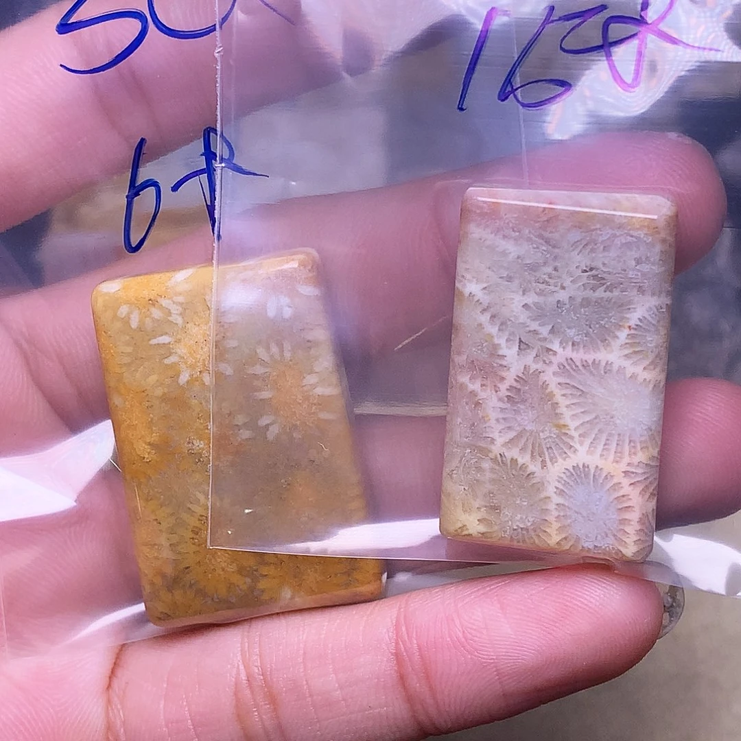 硅化玉珠宝奇石合金张****子