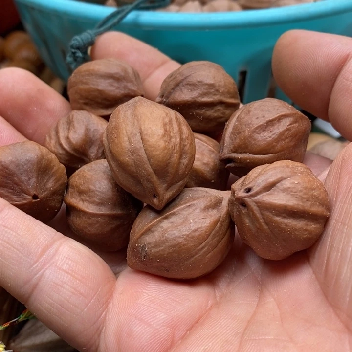 吊坠橄榄核尚***室