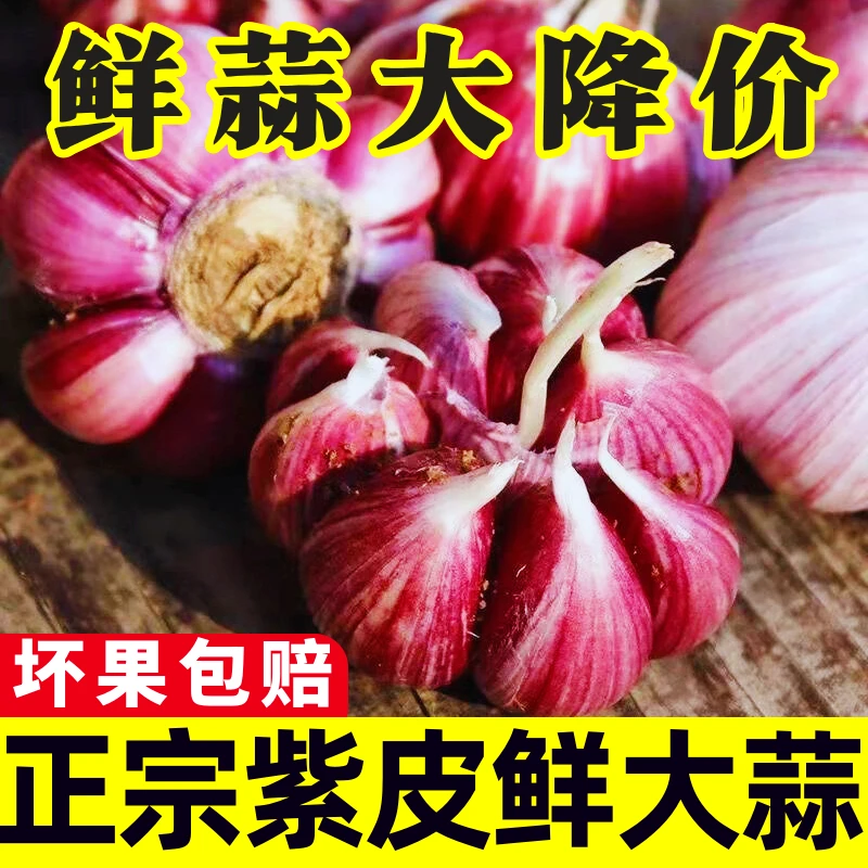 【鲜蒜3斤半价】云南紫皮大蒜头2025新货湿蒜新鲜现挖3斤带箱重量