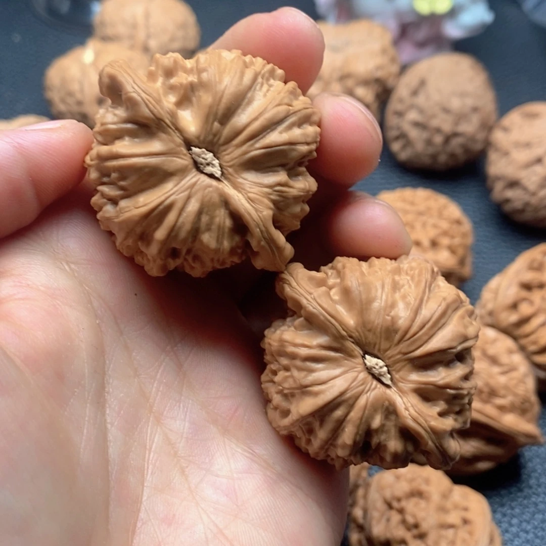 木质类白狮子全品1111111