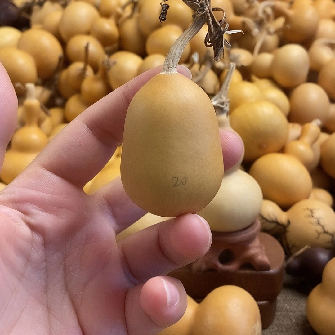文玩葫芦 完美主义者 慎拍20